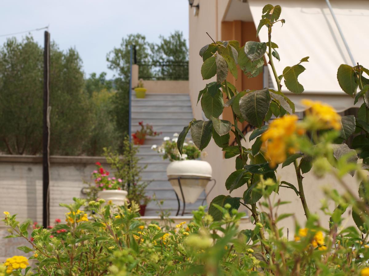 Aristotelis Apartments Razáta Rum bild